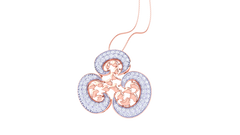 SET90269P- Jewelry CAD Design -Pendant Sets